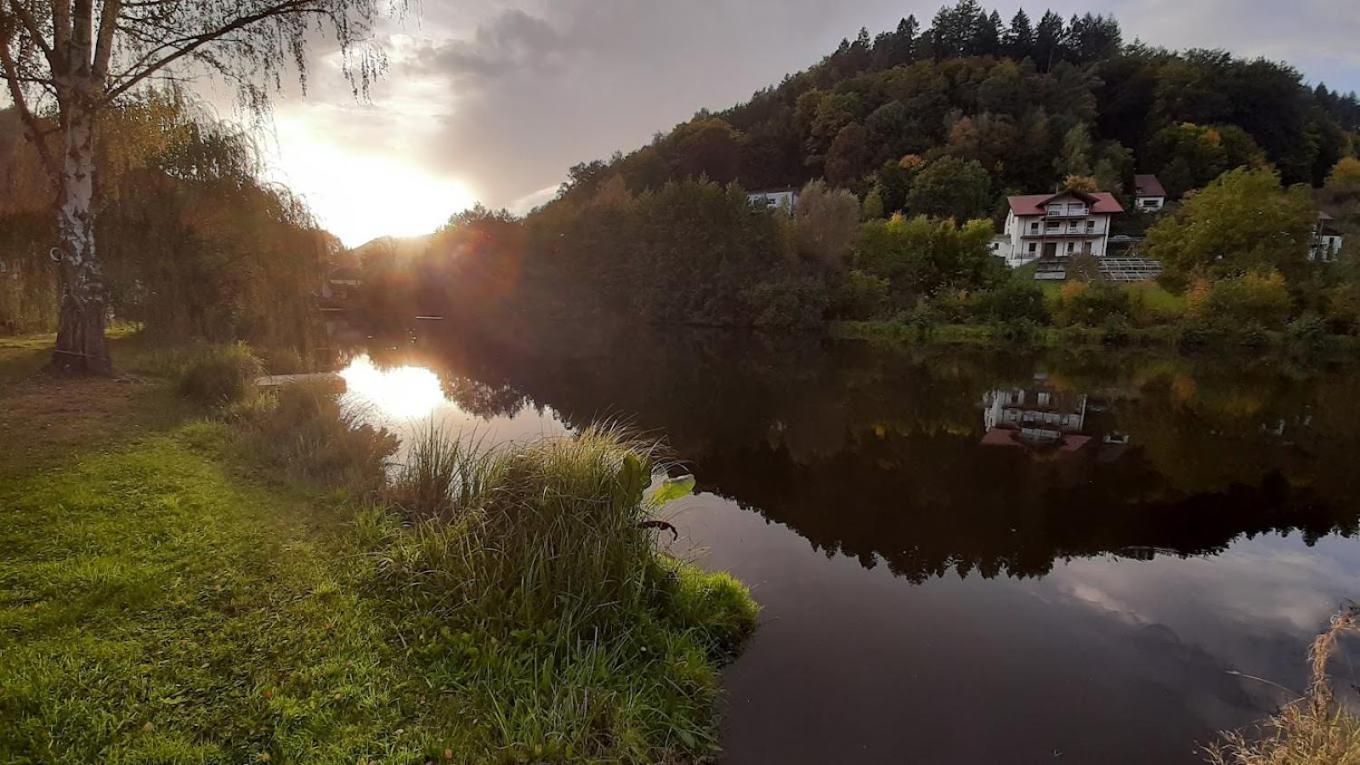 Landhotel Zur Wegelnburg Schönau Zewnętrze zdjęcie